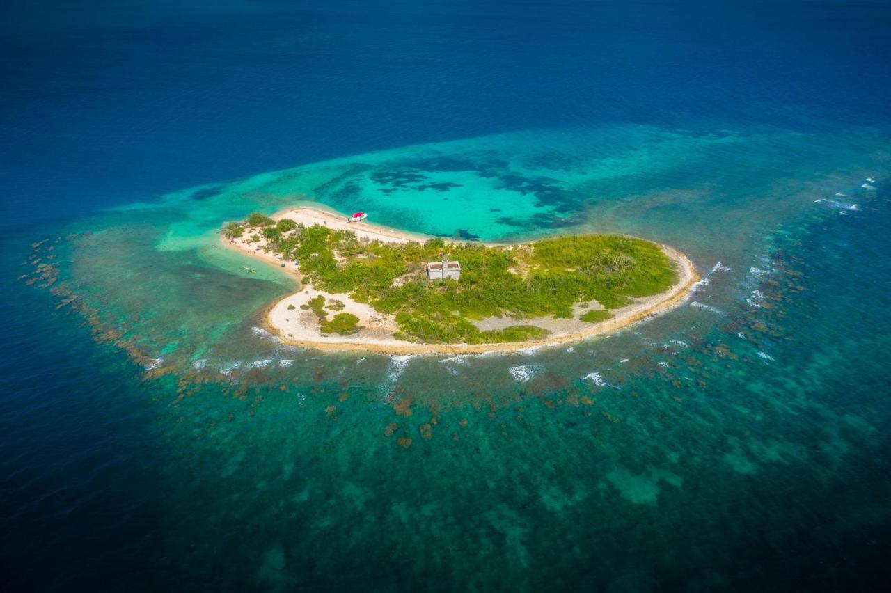 Ferienwohnung Oasis In The South Of The Island With Free Parking And Laundry Ponce Exterior foto